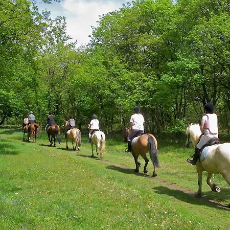La Dimora Di Radha Centro Olistico