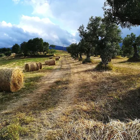 La Dimora Di Radha Centro Olistico לינה וארוחת בוקר רנדה