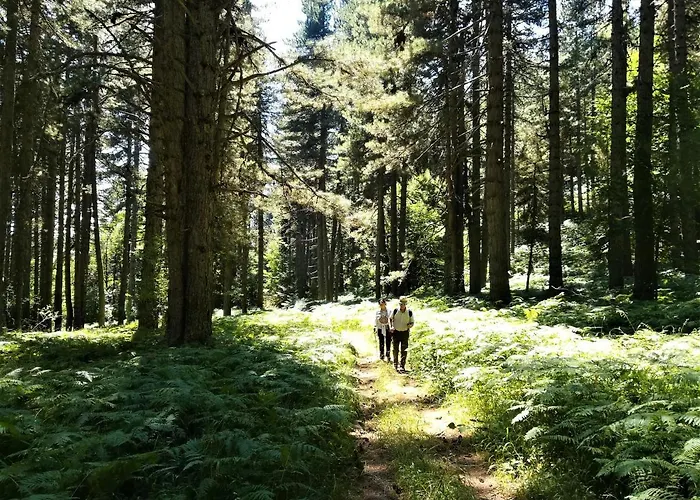 La Dimora Di Radha Centro Olistico Rende