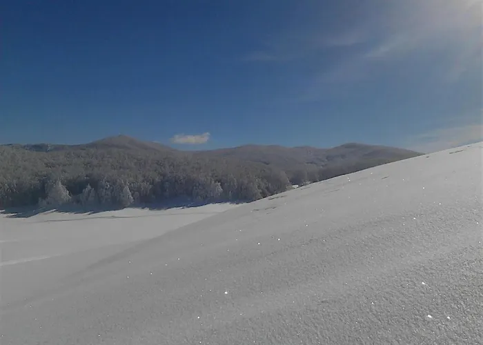 La Dimora Di Radha Centro Olistico 3*