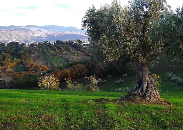 Alojamento de Acomodação e Pequeno-almoço La Dimora Di Radha Centro Olistico